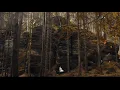 Éxta - Sebastian Plano
