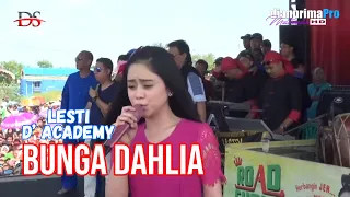 BUNGA DAHLIA - LESTI | KARANGANYAR - INDRAMAYU