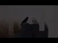hold me in your arms - [ Blood Nose ] Slowed & Reverb 