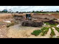 Download Lagu BIG Construction Use Dozer DH17C3 PRO, D31P Skills Clearing Forest Step By Step And Leveling Stone