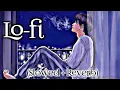 Download Lagu Sitam Karne Wale Kahi Se Tu Aaja Lofi | Slowed + Reverb | Tu Jo Nahi Hai To Kuch Bhi Nahi Hai Lofi