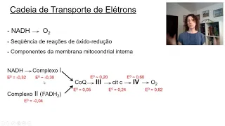 Fosforilação Oxidativa 1: Mecanismo