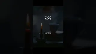 الشيخ سيد سعيد 