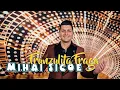 Download Lagu Mihai Sicoe - Frunzuliță Fragă