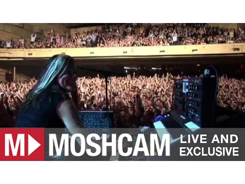 Download MP3 The Dandy Warhols - Bohemian Like You (Live in Sydney) | Moshcam