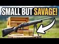 Tiny But Deadly The Most Powerful Small Calibers for Hunting 2025