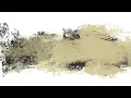 【1 hour focus sound】library-inspired ambient piano & synth for reading | 古い書物の裏側、時間の染み
