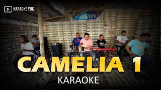 Download CAMELIA 1 KARAOKE NADA COWOK PRIA MP3