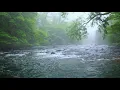 Download Lagu Green Forest River Flowing in Rainy Weather. Nature Sounds, Forest River, White Noise for Sleeping.