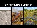 How a Texas Couple Revived 80 Acres of Moonscape Without Planting Using a Dozen Cows