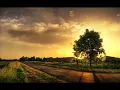 Tim Berg - Bromance (Aviciis Arena Mix) [HQ]
