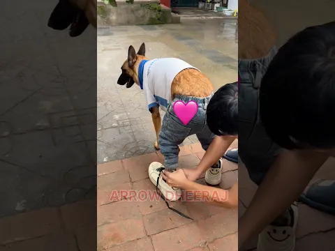 #crazygameplay