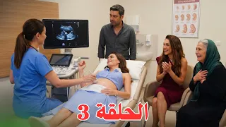                                     دندنها