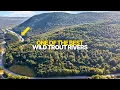 Walton NY Log Cabin on 25 Acres Near Delaware River Catskills Real Estate