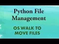 Python Automate File Management - OS walk To Move Files