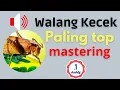 Download Lagu Walang kecek paling top mastering burung no.1 | suara paling merdu 1 jam non stop walang kecek voice