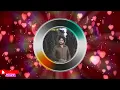 Download Lagu dil da mamla hai - Gurdas Maan \u0026 Savita Sathi - Whatsapp Status