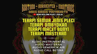 terapi pleci 2022 by senikoloniplecijogja