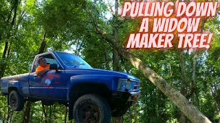 Download Pulling Down A Widow Maker MP3