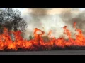 Burning the Baker Wetlands