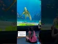 I didn t realize crush at turtle talk from finding Nemo was this funny
