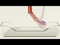 Blender double pendulum with fluid simulation