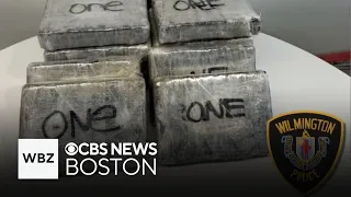 More than 15 kilograms of cocaine seized at Fed-Ex facility in Wilmington