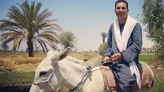 خلي زرعك سماوي صموئيل فاروق 