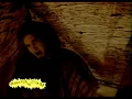 Beavis and Butt-Head - Do 'Alice In Chains - Man In The Box'