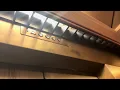 Dillard s-Tyrone Mall-St Pete FL