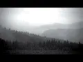 Recondite - Leafs