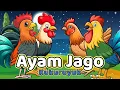 Lagu Lagu Anak 🇮🇩 Kuku Kukuruyuk - Lagu Ayam Jago Dan pok Ame Ame Cilukba - Lagu Anak Indonesia