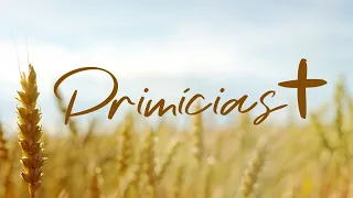 Primícias AMa 2020