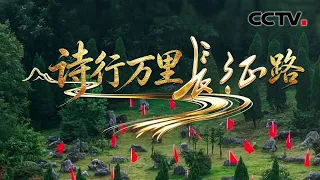 长征最艰难时期写就，毛主席在“山”的意象之中，熔铸了怎样的情感？《诗行万里长征路》 第3集 天欲堕 赖以拄其间 | CCTV