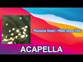 Florence Road - Wish Upon You (ACAPELLA) Vocals Only
