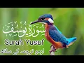 Download Lagu Surah Yusuf | By Sheikh Abdur-Rahman As-Sudais | 12-سورۃیوسف | @IslamicInsights-z6d