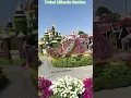 Download Lagu Dubai Miracle Garden is beautiful and a “Must See” #dubai #dubaimiraclegarden