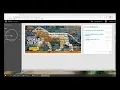 NGL sync Online social studies textbook tutorial
