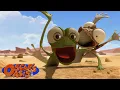 Download Lagu Oscar Takes Care of a Baby Lizard + More Oscars's Oasis Cartoons For Kids