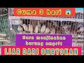 Download Lagu CARA MENJINAKAN BURUNG EMPRIT OMBYOKAN
