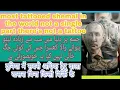 most tattooed shemal in the world tattoo