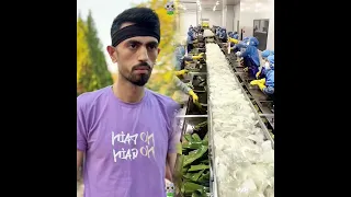 حرامية ولاد حلال البرنس مصطفى الحموي نزار الحموي مسو 