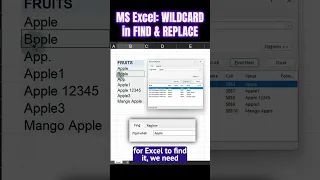 How to use WILDCARD in FIND REPLACE tool in EXCEL
