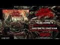 Download Lagu VISCERAL UPROOTING - 50​.​39​-​SQUARE​-​KILOMETER MASS GRAVE [OFFICIAL ALBUM STREAM] (2021)