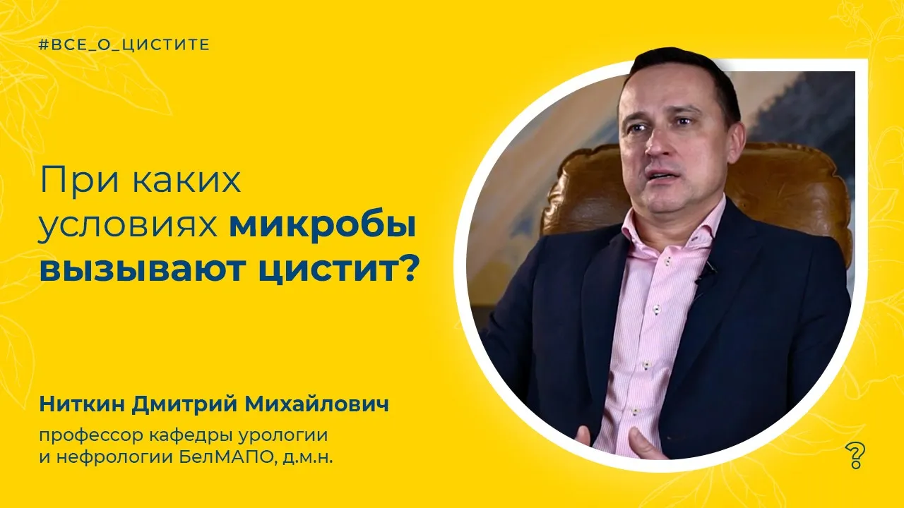 CAN BY: ВИДЕО СТАТЬИ 2.24. При каких условиях микробы вызывают цистит? Вопрос специалисту