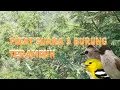 Download Lagu suara pikat 3 burung trucukan cipoh dan kutilang