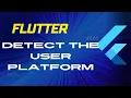 Flutter Platform Detection iOS or Android Check isiOS isAndroid using dart io package
