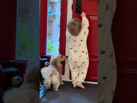 Our human brother can open the door now!! 🙈🤪