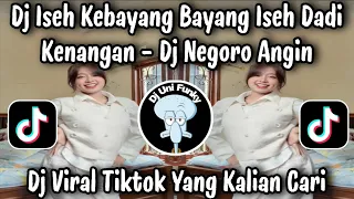 dj iseh terbayang bayang iseh dadi kenangan dj negoro angin viral tiktok terbaru yang kalian cari 