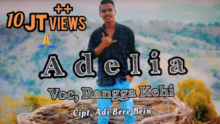 Download Judul lagu:Adelia Cipt:Adi Bere Bein Voc:Rangga kehi-ABG Channel Malaka (Adi Bere Bein Group Malaka) MP3